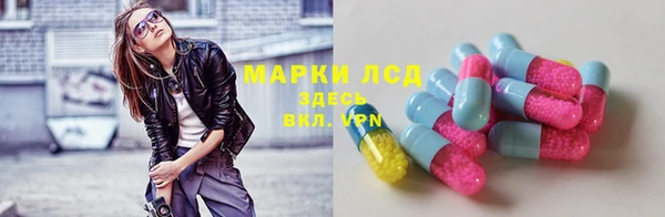 шишки Богданович