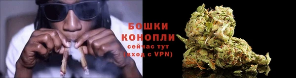 прущая мука Богородицк
