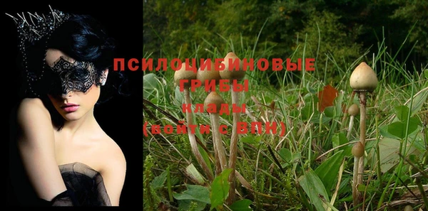 MDMA Богородск