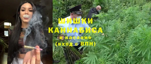 шишки Богданович