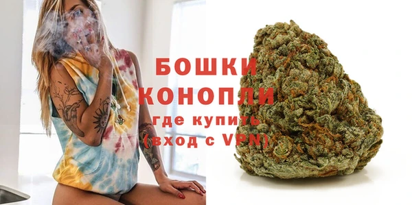 шишки Богданович