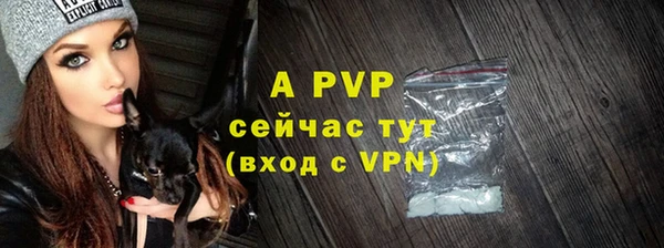 шишки Богданович